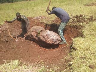 Work being done on clearing the land